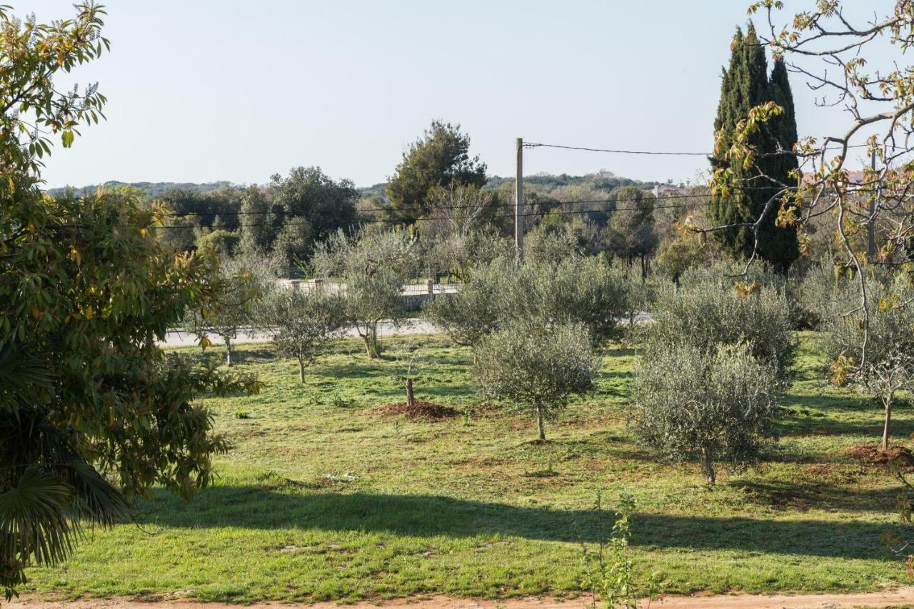 Studio Andrea Rovinj Exteriör bild
